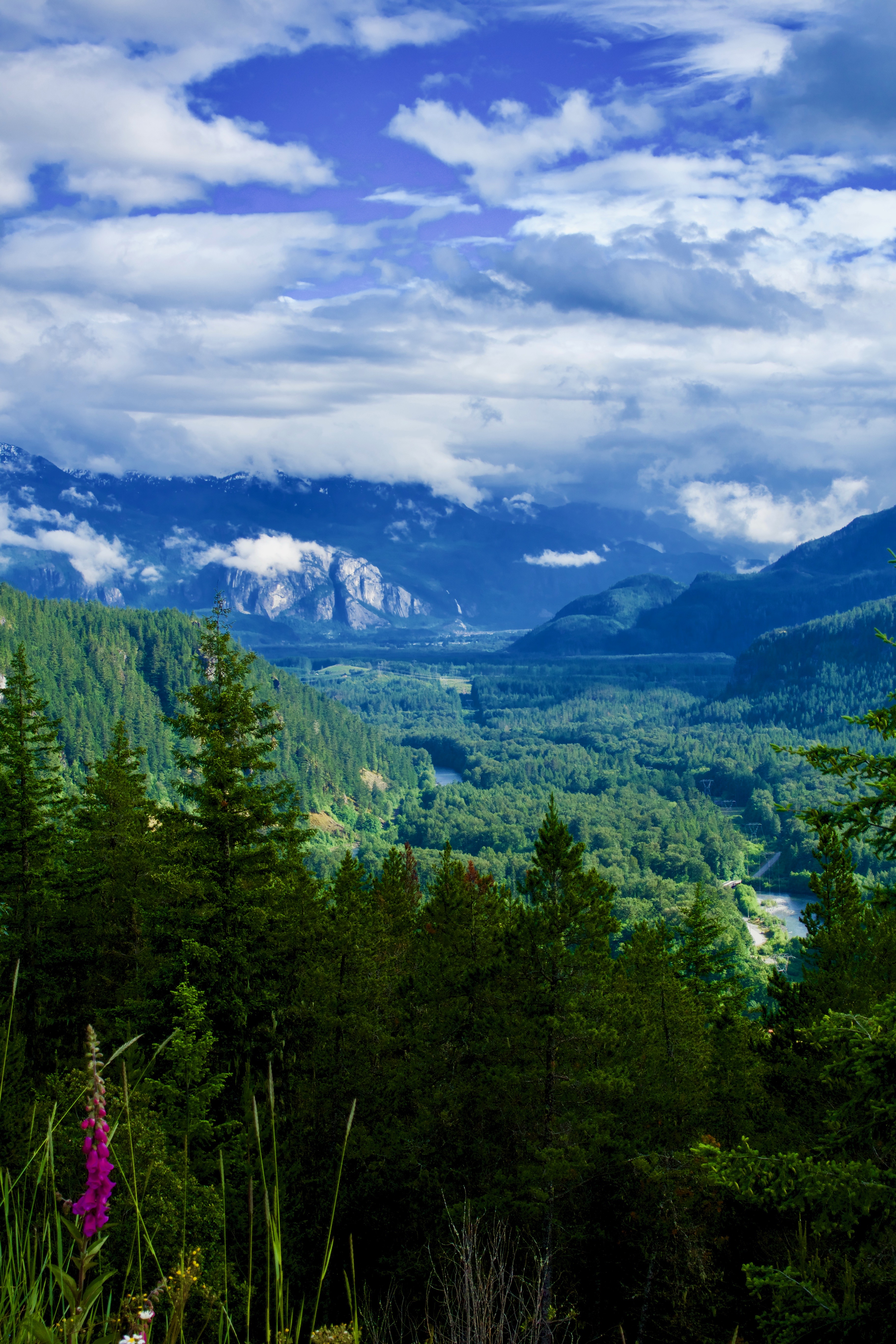 A full-size image example